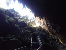 Des stalagtites rares et impressionnantes